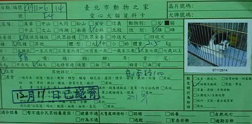 圖檔