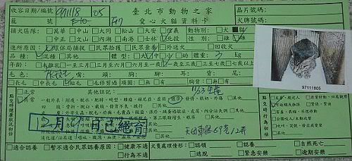 圖檔