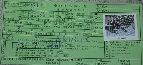 圖檔