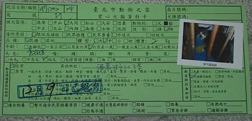 圖檔