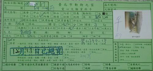 圖檔