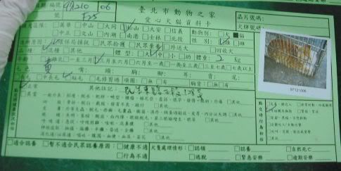 圖檔