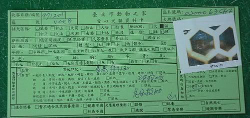 圖檔