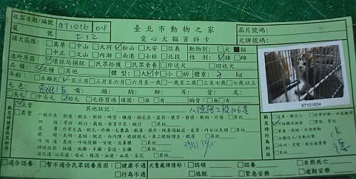 圖檔