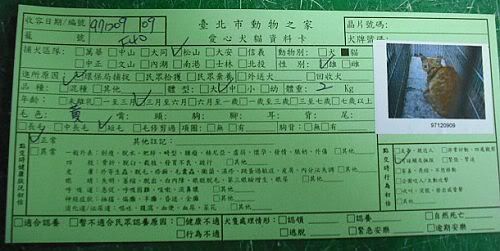 圖檔