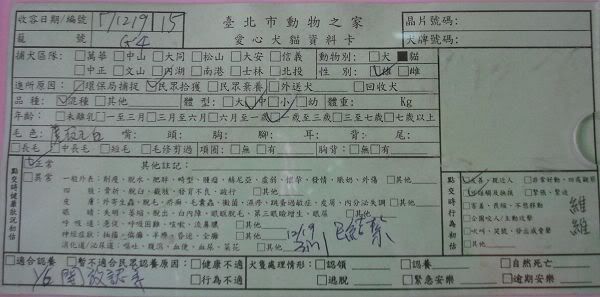 圖檔
