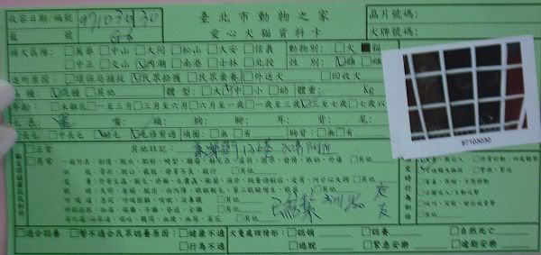 圖檔