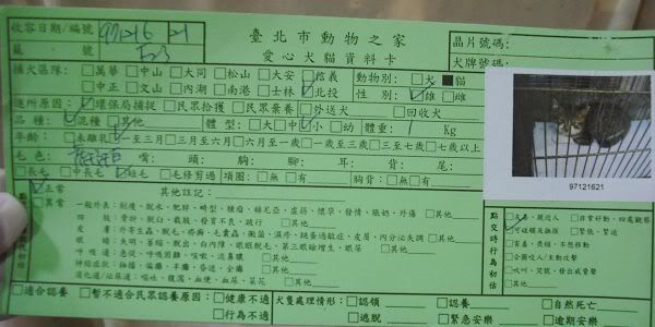 圖檔