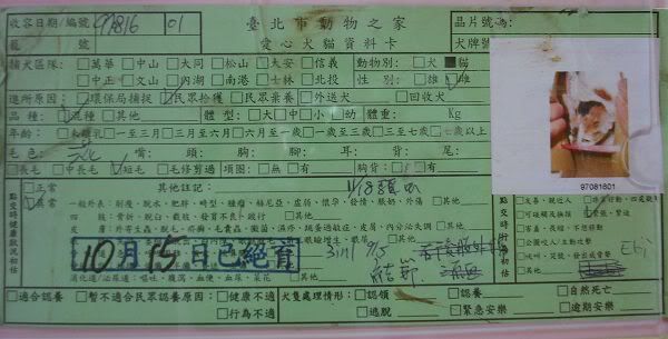 圖檔