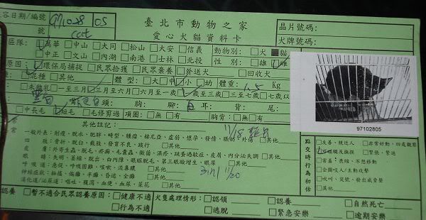 圖檔