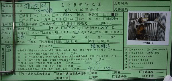 圖檔