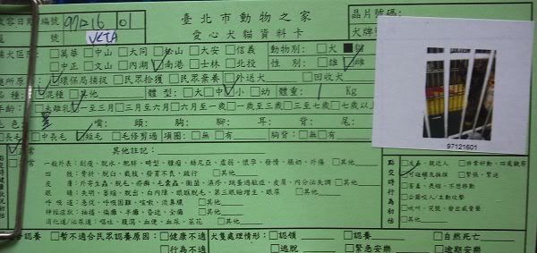 圖檔