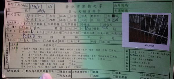 圖檔