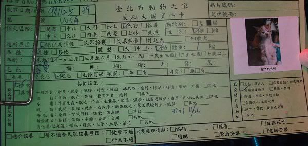 圖檔