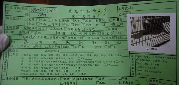 圖檔