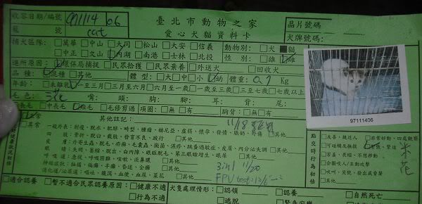 圖檔