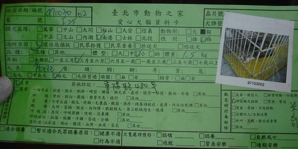 圖檔