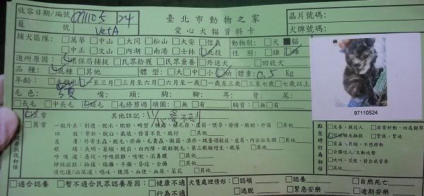 圖檔