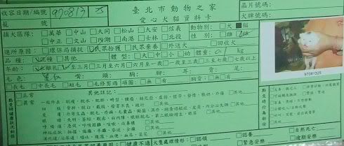 圖檔