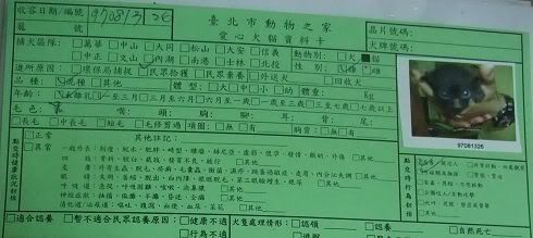 圖檔