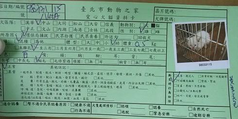 圖檔
