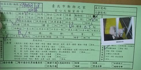 圖檔