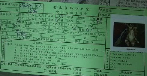 圖檔