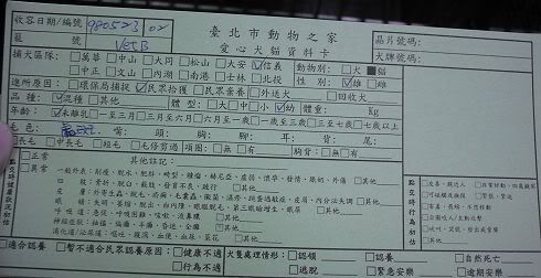 圖檔
