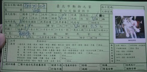 圖檔