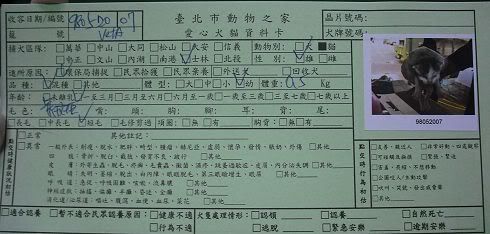 圖檔