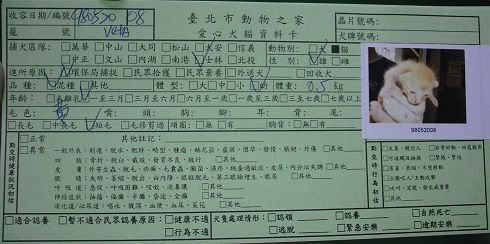 圖檔