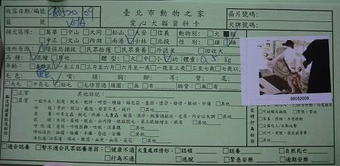圖檔