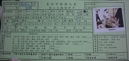 圖檔