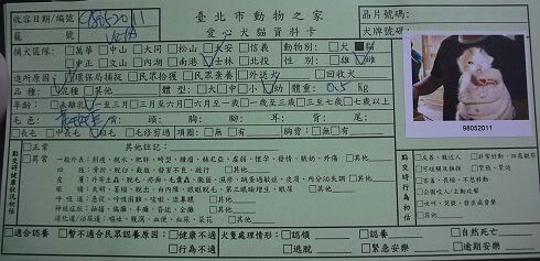 圖檔
