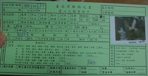 圖檔