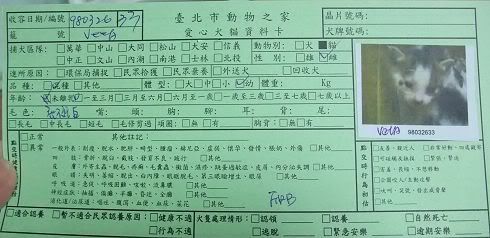 圖檔