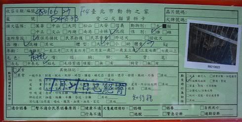 圖檔