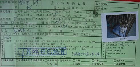 圖檔