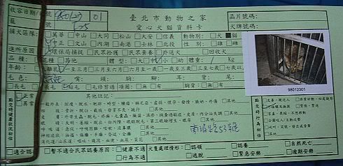 圖檔