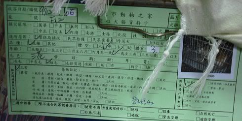 圖檔