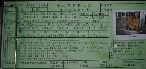 圖檔