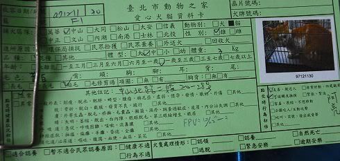 圖檔