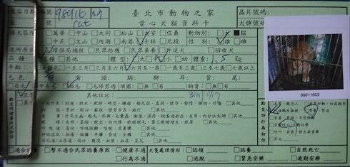 圖檔