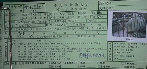 圖檔