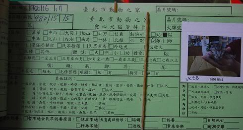 圖檔