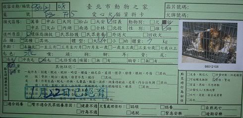 圖檔
