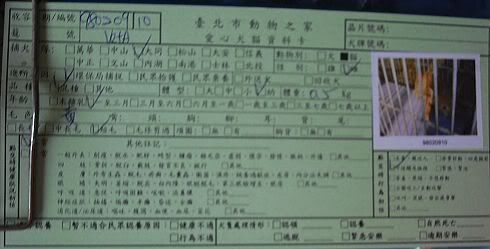 圖檔