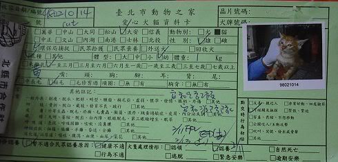 圖檔