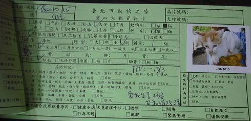 圖檔