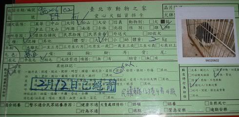 圖檔